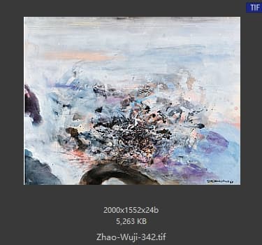 赵无极 #342