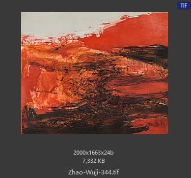 赵无极 #344