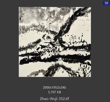 赵无极 #352