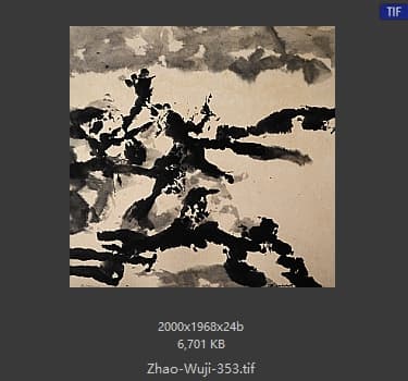 赵无极 #353