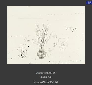 赵无极 #354
