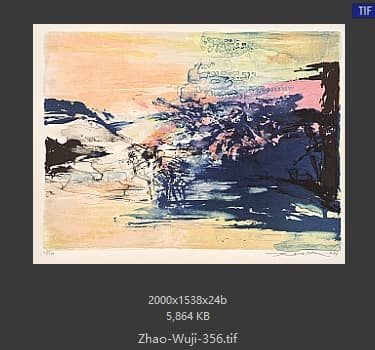 赵无极 #356
