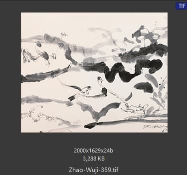 赵无极 #359