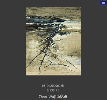 赵无极 #362