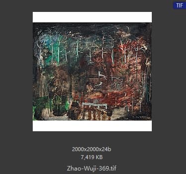 赵无极 #369