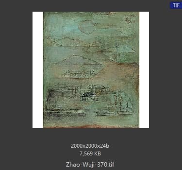 赵无极 #370