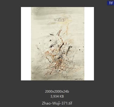 赵无极 #371