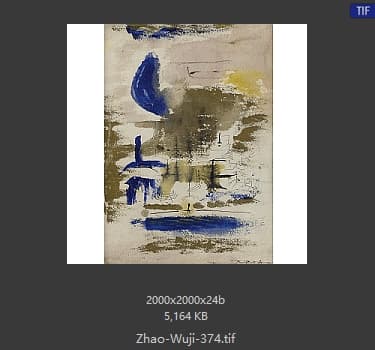 赵无极 #374