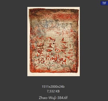 赵无极 #384