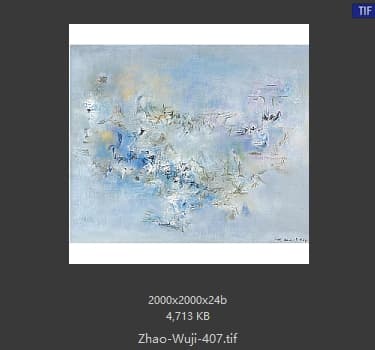 赵无极 #407