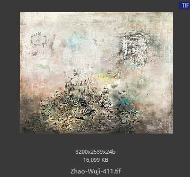 赵无极 #411