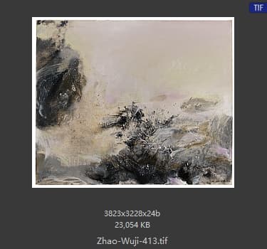 赵无极 #413
