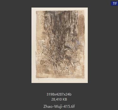 赵无极 #415