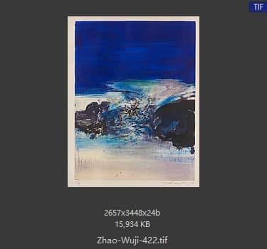 赵无极 #422