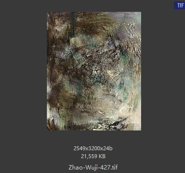 赵无极 #427