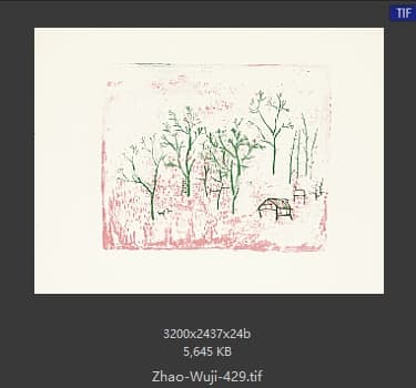 赵无极 #429