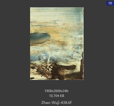 赵无极 #438