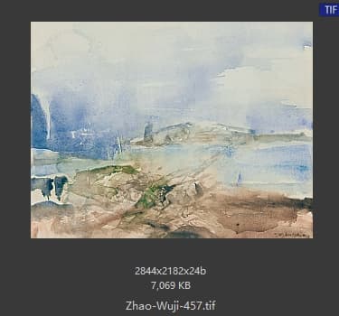 赵无极 #457
