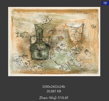 赵无极 #516