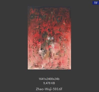 赵无极 #593