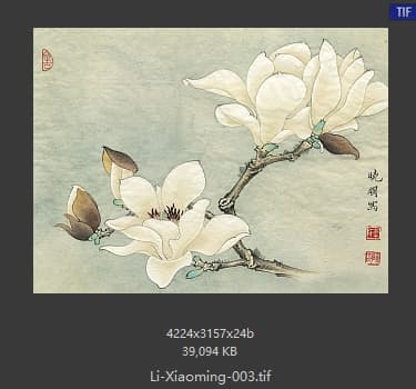 李晓明 临余致贞白玉兰图