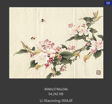 李晓明 临余致贞西府海棠