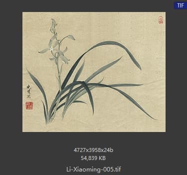 李晓明 临俞致贞秋兰图