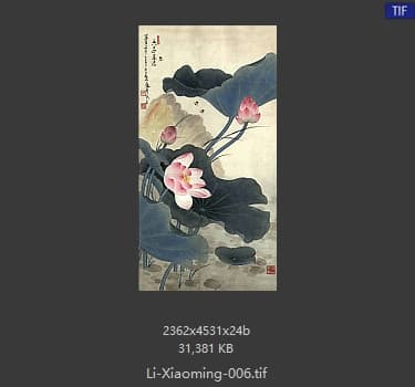 李晓明 临俞致贞舞风