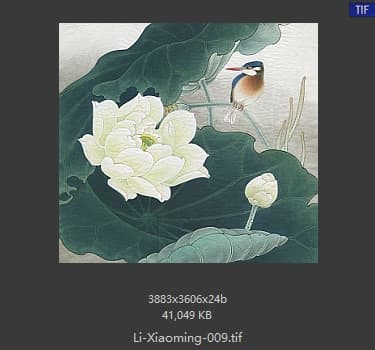 李晓明 临周彦生白荷栖翠图