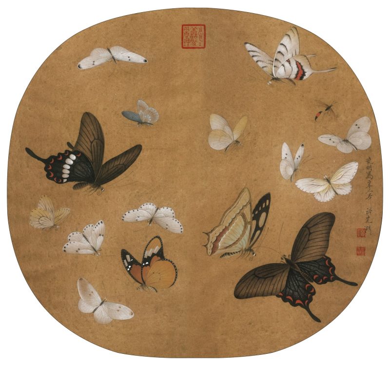 临宋晴春蝶戏图