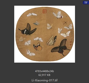 李晓明 临宋晴春蝶戏图
