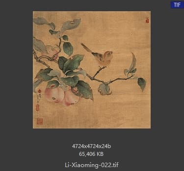 李晓明 临宋果熟来禽图