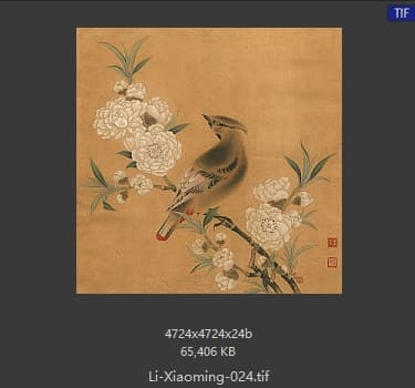 李晓明 临宋桃花山鸟图