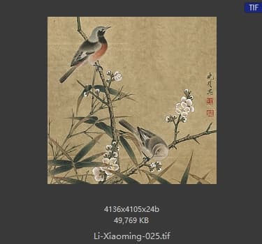 李晓明 临宋梅竹双雀
