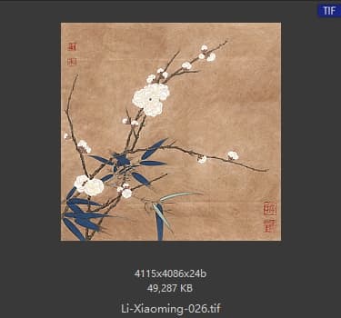 李晓明 临宋梅竹图