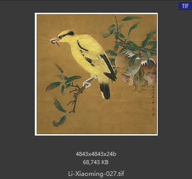 李晓明 临宋榴枝黄鸟图