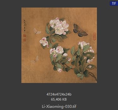 李晓明 临宋海棠蛱蝶图