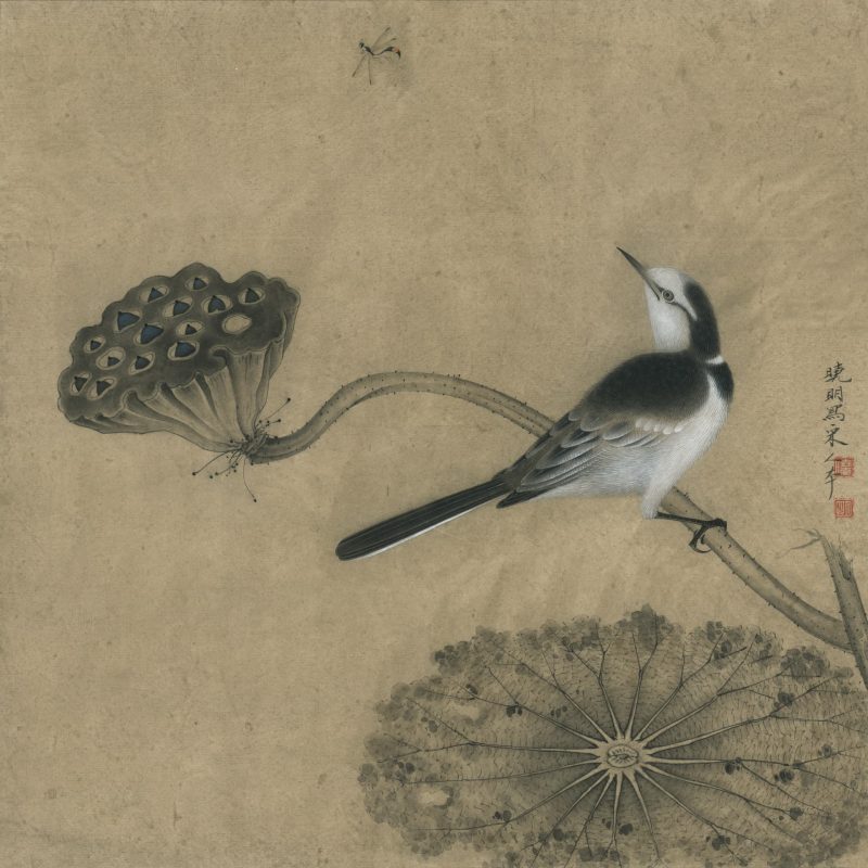 临宋疏荷沙鸟图