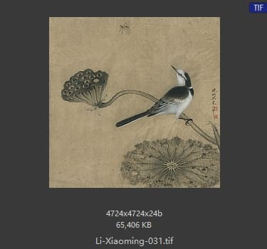 李晓明 临宋疏荷沙鸟图