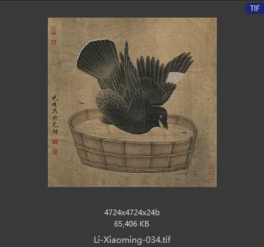 李晓明 临宋禽浴图