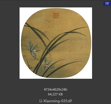 李晓明 临宋秋兰绽蕊图