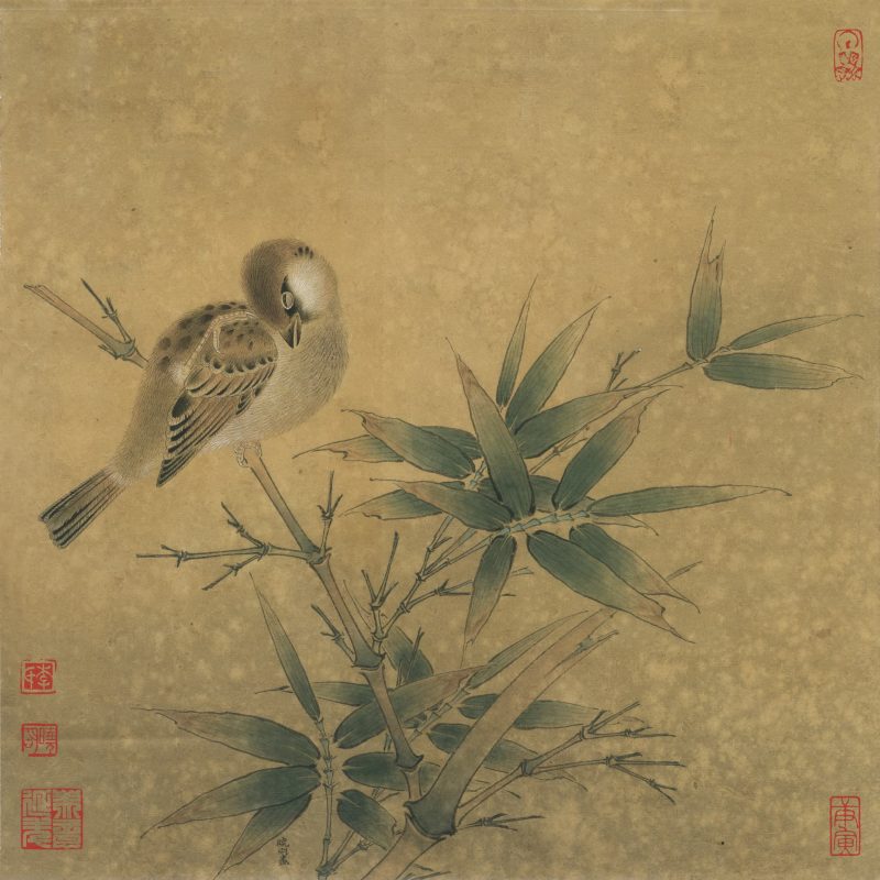 临宋竹雀图