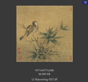 李晓明 临宋竹雀图