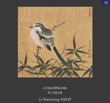 李晓明 临宋竹鸠图