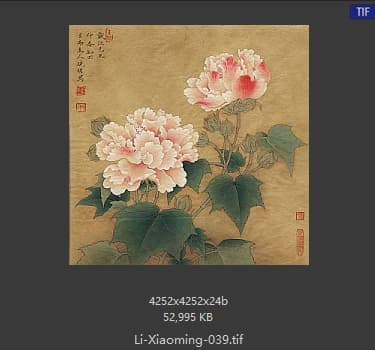 李晓明 临宋红芙蓉图