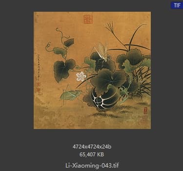 李晓明 临宋螽斯绵瓞图