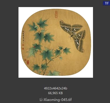 李晓明 临宋青枫巨蝶图