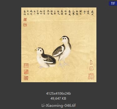 李晓明 临宋鸡雏待饲图