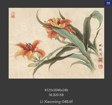 李晓明 临田世光萱草图