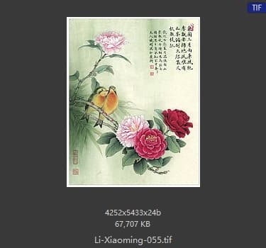 李晓明 南国相思